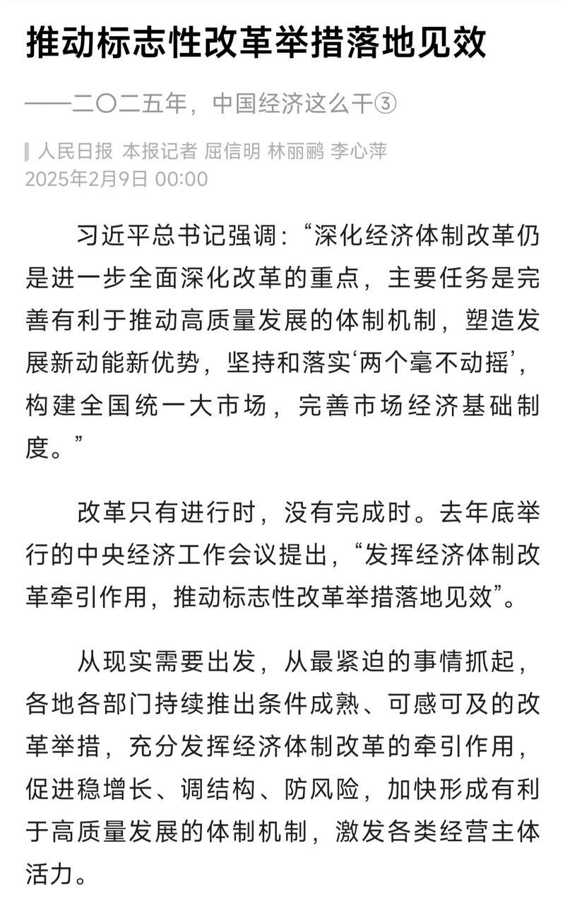 推动标志性改革举措落地见效——二〇二五年，中国经济这么干③